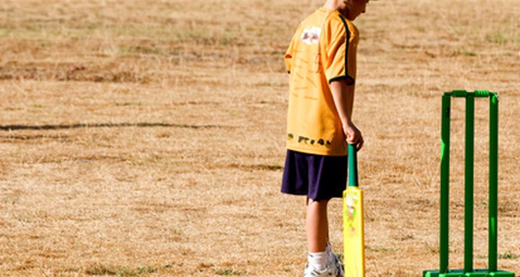 Personalise your cricket bat with your homemade sticker