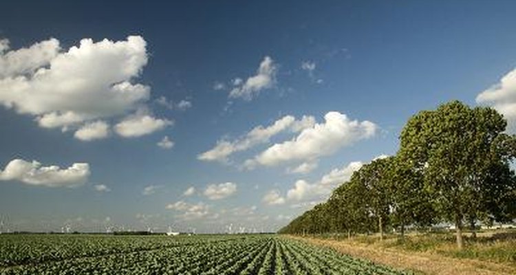 Hay una larga historia de uso de productos químicos para el control de plagas en la agricultura.
