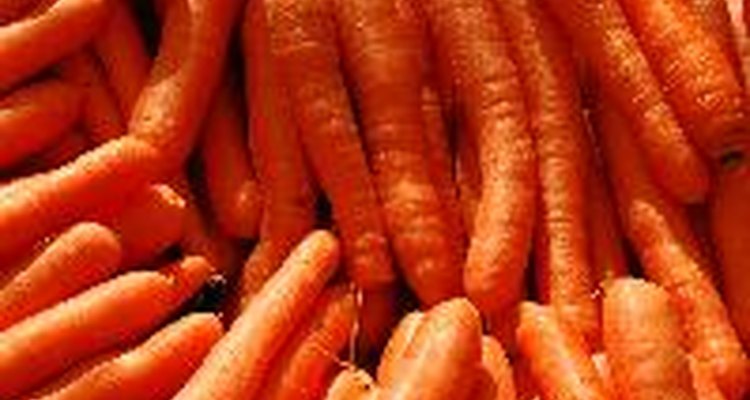 Você pode cultivar cenouras hidropônicas em qualquer época do ano, não importando como o tempo está