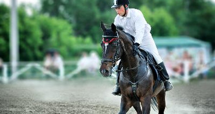 Cuida tu caballo.