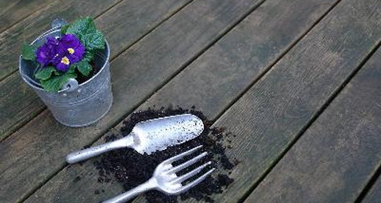 lanta las semillas en zanjas de poca profundidad, cubriéndolas con al menos media pulgada (1,27 cm) de tierra.