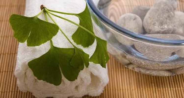O extrato de ginkgo biloba pode ajudar no tratamento do Transtorno do Déficit de Atenção e Hiperatividade.