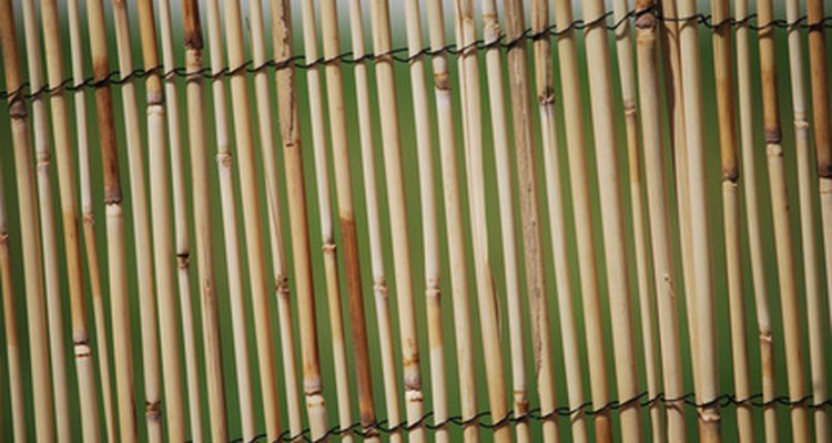 Bamboo fencing can last for decades.