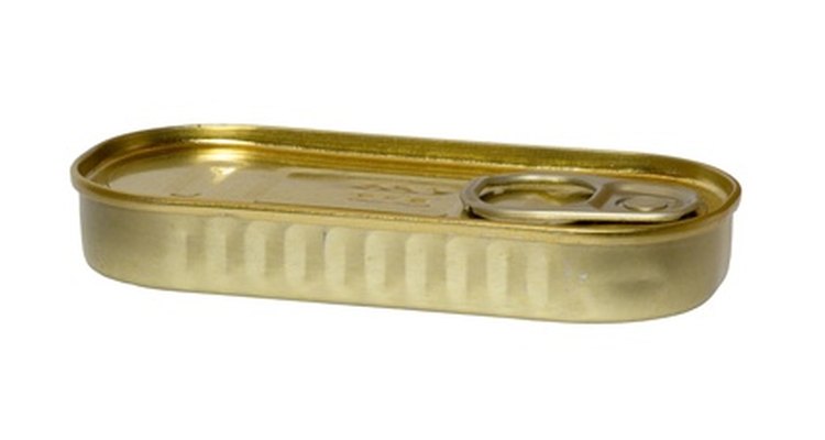 Sardine can