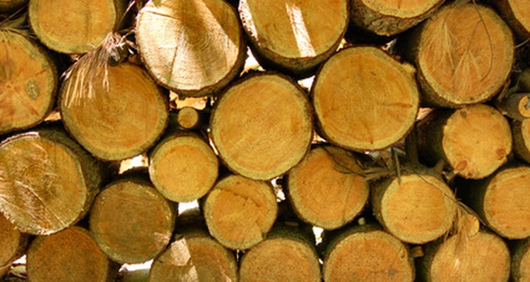 El ipé es una madera dura brasileña densa que se usa para estructuras y muebles de exterior.