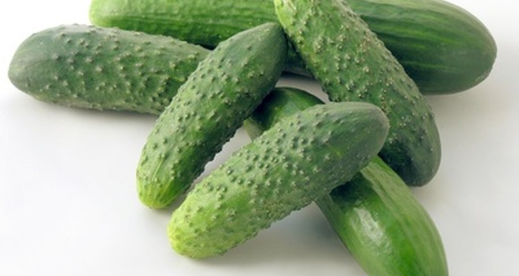 Cultiva pepinos.