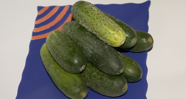 Two holes in the flesh of a cucumber could be a sign of a pickleworm infestation.