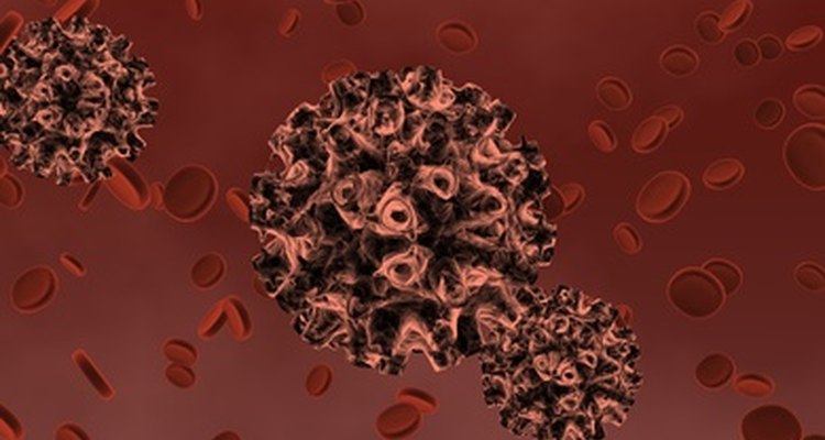A transmissão do vírus HPV se dá por contato direto da pele