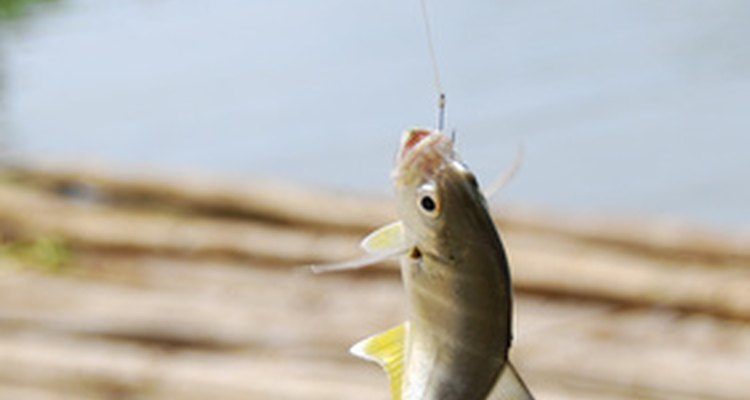 Making quill and other types of fishing floats is a tradition among many anglers.