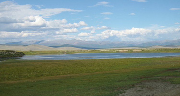Las praderas de Mongolia se encuentran en el tipo de clima de la zona templada de la estepa de latitudes medias.