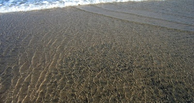 Studying the tides can help students understand the significance of gravity.