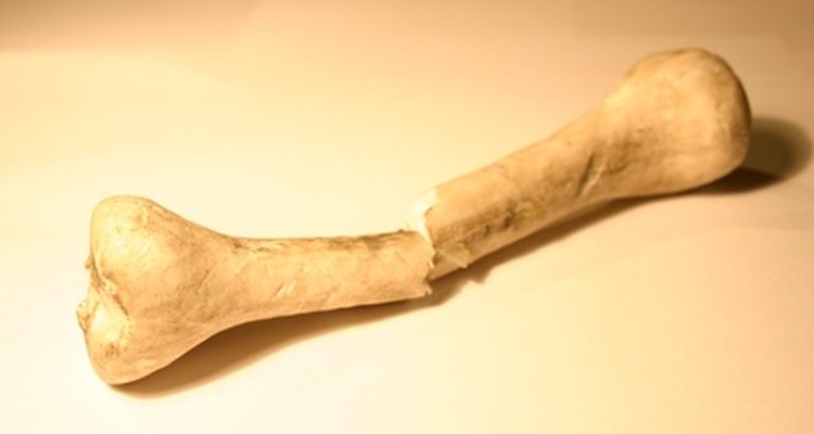 Las muestras de ADN también pueden ser utilizadas para identificación de restos humanos.
