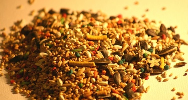 Scoop up wild bird seed and distribute it.