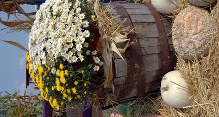 Flowers are commonly planted in half whiskey barrels.