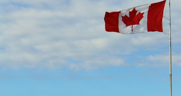 La bandera de Canadá cuenta con un bosquejo aproximado de la hoja de arce.
