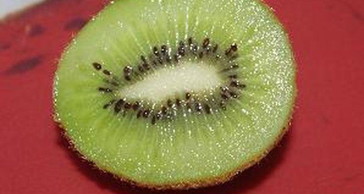 Como la mayoría de las frutas, la mayor parte de las calorías del kiwi provienen de carbohidratos.