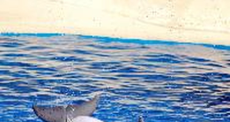 Uno de los símbolos de Poseidón es el delfín.