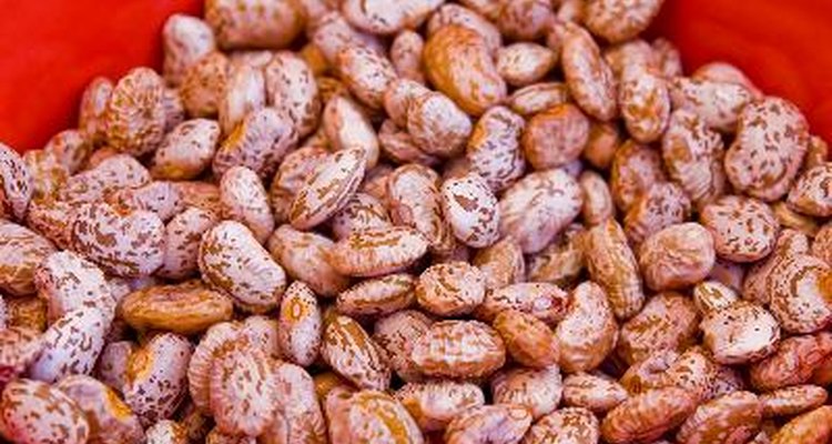 Remojar las semillas con cubierta dura antes de plantarlas aumenta la velocidad con la que absorben el agua.