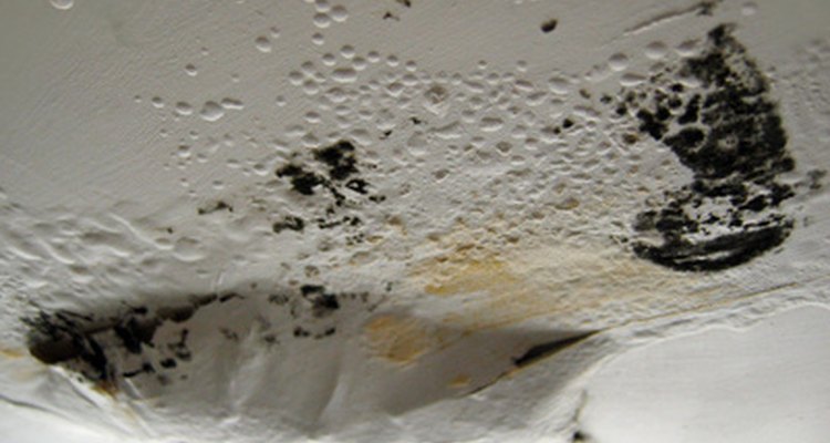 Las manchas de agua en las paredes se pueden tratar y prevenir fácilmente.