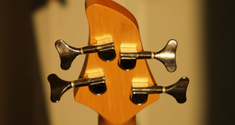 Spector basses normally have the serial number printed on the back of the headstock.