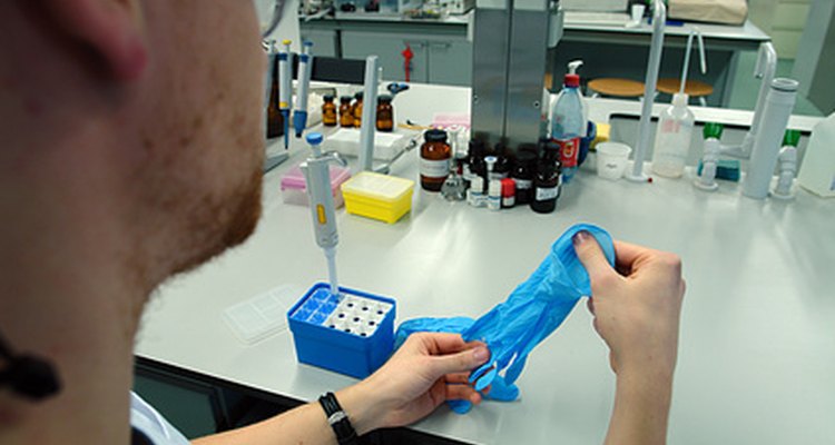 Los técnicos de laboratorio utilizan conocimientos de biología en su trabajo.