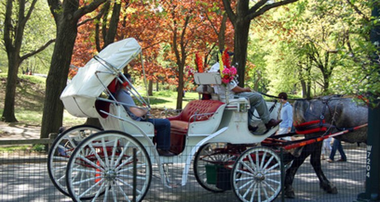 As carruagens puxadas por cavalos eram populares no período regencial