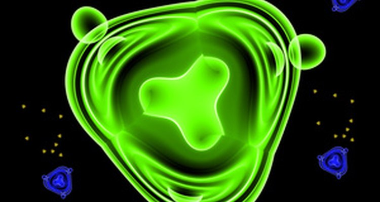 Pathogens are disease-causing agents.