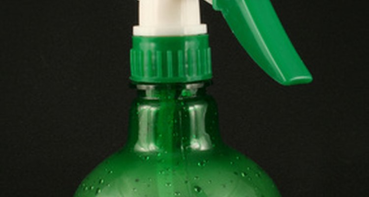 Use um frasco spray para aplicar o detergente como inseticida