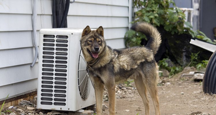 Algunas unidades de aire acondicionado central son más eficientes que otras.