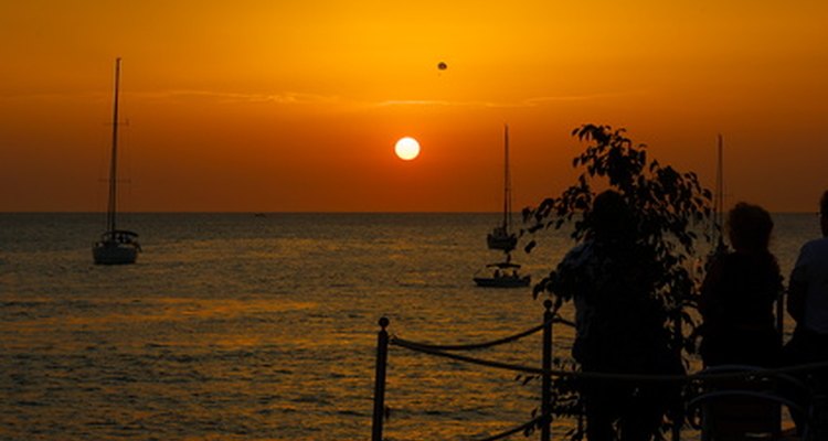 La Pilea requiere luz solar.