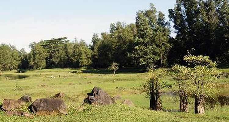 Los pueblos también se ven afectados por el tráfico de drogas.