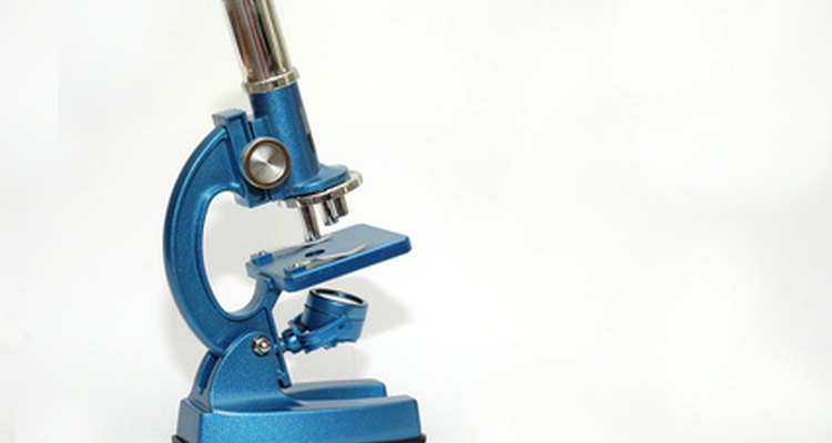Compound microscopes are common in laboratories.