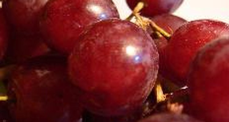 Ambos compuestos se obtienen de la uva roja.
