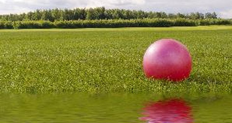 Prevention by regular aeration is the best way to avoid a waterlogged lawn.