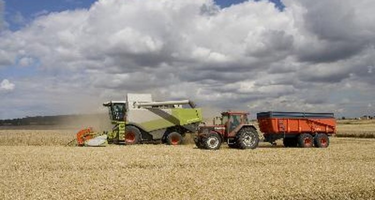 Hay varios tipos diferentes de productos químicos para el control de plagas que proporcionan una amplia gama de métodos para tratar infestaciones.