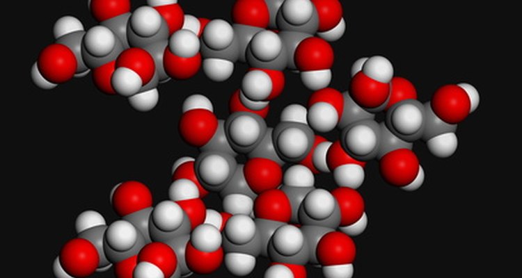 A catalase é a enzyma responsavel por muitas reações importantes para a vida