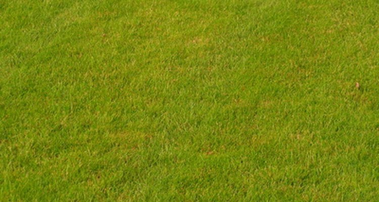 Yellow grass may be caused by a variety of factors.