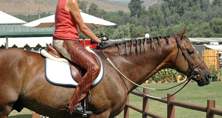 Quick tack safety check - The Horse Owners Resource