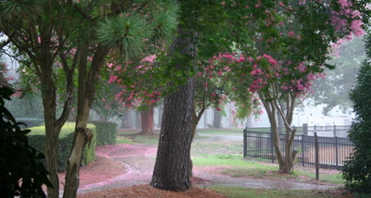 Spring showers