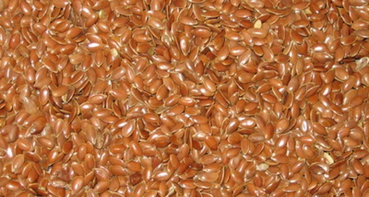 Asegúrate de que las semillas de lino no tengan una alta temperatura.