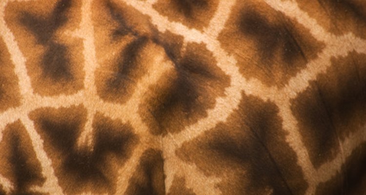 Um vestido com estampa de bicho pode se tornar uma fantasia eficaz de mulher das cavernas