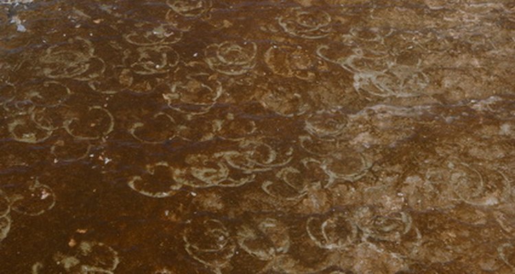 Bacteria in river water, if ingested, can make you sick.