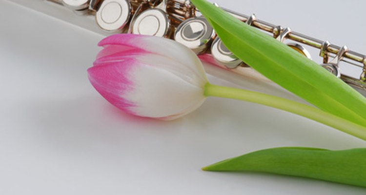 A flute needs a bag to carry it from one location to another.