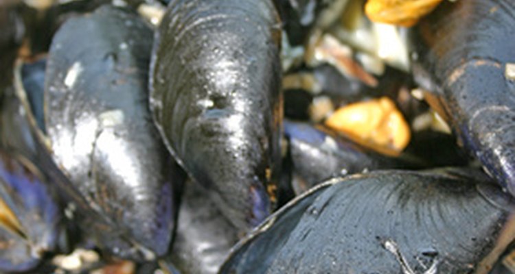 A seafood festival takes place every year in Galicia, Northern Spain.