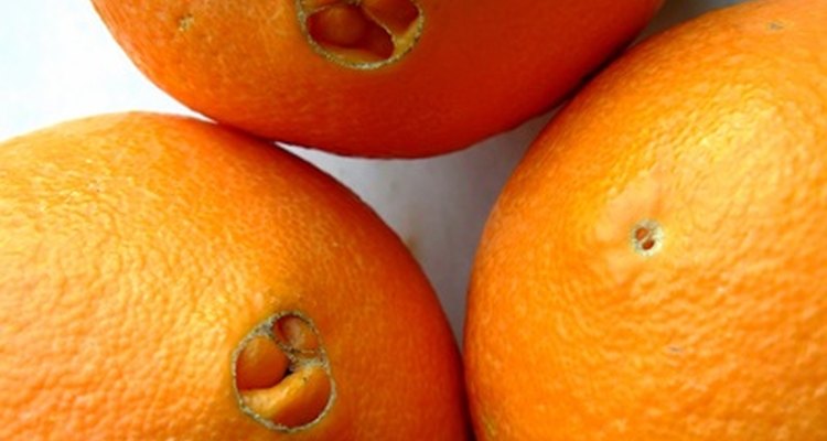 Las naranjas de ombligo no tienen semillas y sus flores no producen polen.