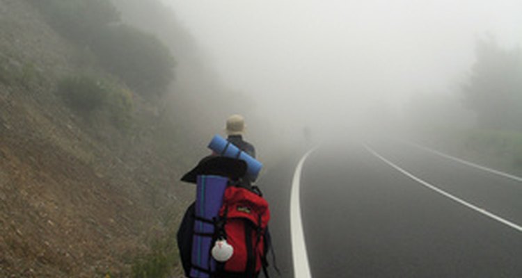 Galicia is a wetter region of Spain, where mixed woodlands are found.