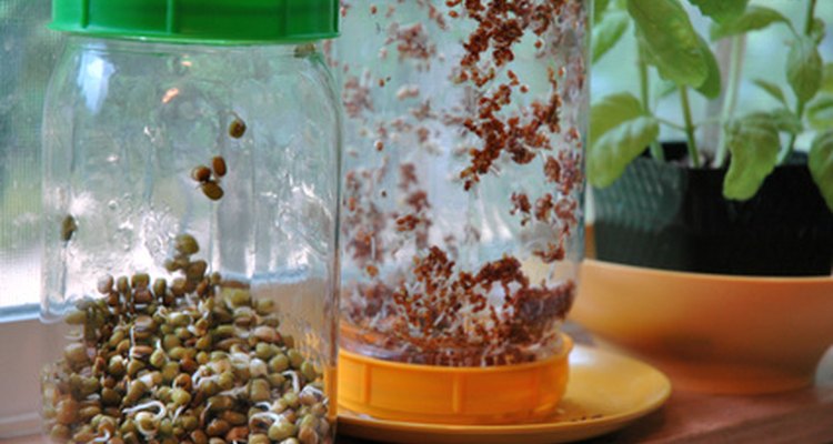 Windowsills can become water damaged if not adequately protected.