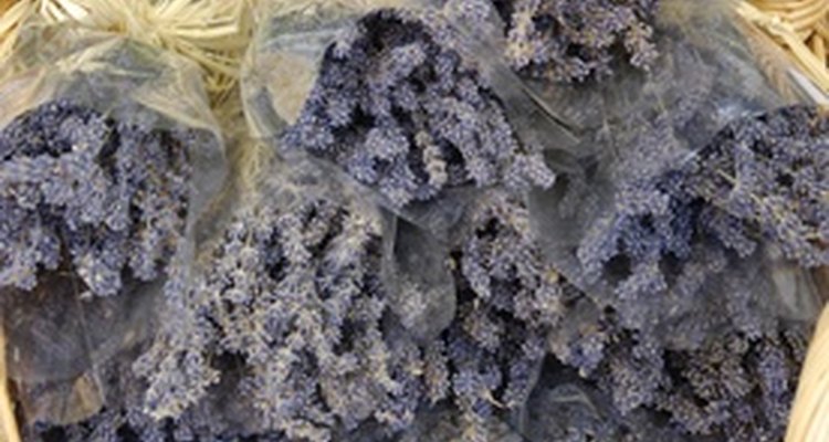 Lavender symbolises remembrance.