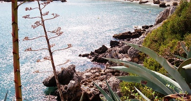 Rhodes is known as the sun island.