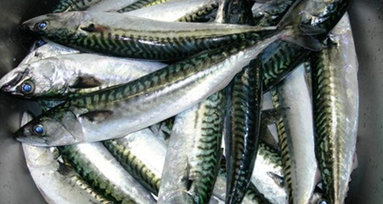 Los fertilizantes naturales provienen de materia orgánica como los subproductos del pescado.